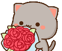 carpe_rose