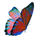 wyldetyme_neonbutterfly