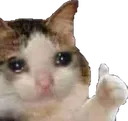 __