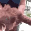 1barktuce