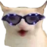 CatChest CatChest