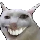 wesh