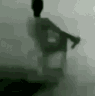 831714528340475935