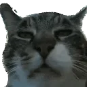 berdead