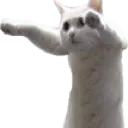 Longcat1 longcat1 Discord Emoji