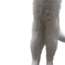 Longcat2 longcat2 Discord Emoji