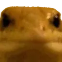 hmm