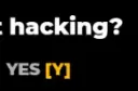 YY2 YY2