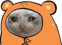 sadcato