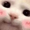 blushie