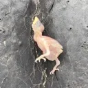 Sad Day Discord Emoji