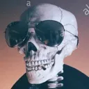coolskeleton coolskeleton