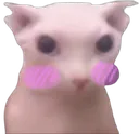 bingusflushed