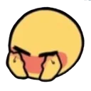 blushshy