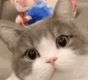 potatowink