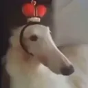 lordfoog