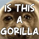 gormilla