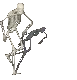 skeletonrock