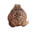 FORGRGRGRGR