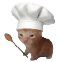 a13chefcat