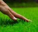 touchgrass touchgrass