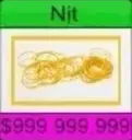 nitnhe123