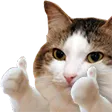 suffoThumbs