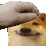 pet
