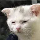 pain