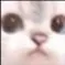 goldor_cat
