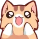 catcited catcited