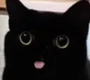 mewww