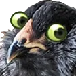 x2snekConcernChickene