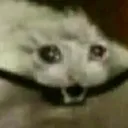 whentheangsthitshard