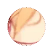RicheGigiSpin