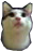 CatRing Discord emoji