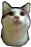CatRing