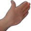 slapL