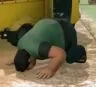sepuh