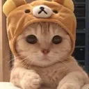 cathat