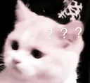 Cat_Confuse Discord Emoji