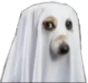 DogoSpooky