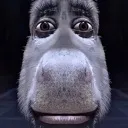 dohonkeh dohonkeh