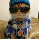 coolcat4