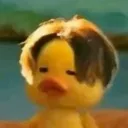 clever_xoy_qoz_krdwa