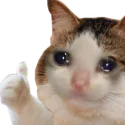 catok