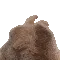AL_yBunnyDance AL_yBunnyDance