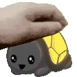 noctshPET