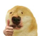 dugok dugok