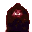 DemonCat